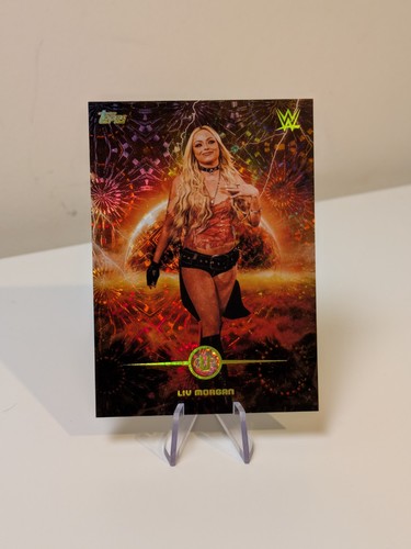 Custodia flashpoint liv morgan - flashpoint,